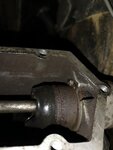 IMG_20200725_194842.jpg