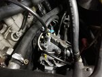 IMG_20201007_083551.jpg