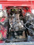 IMG_20201013_181714.jpg